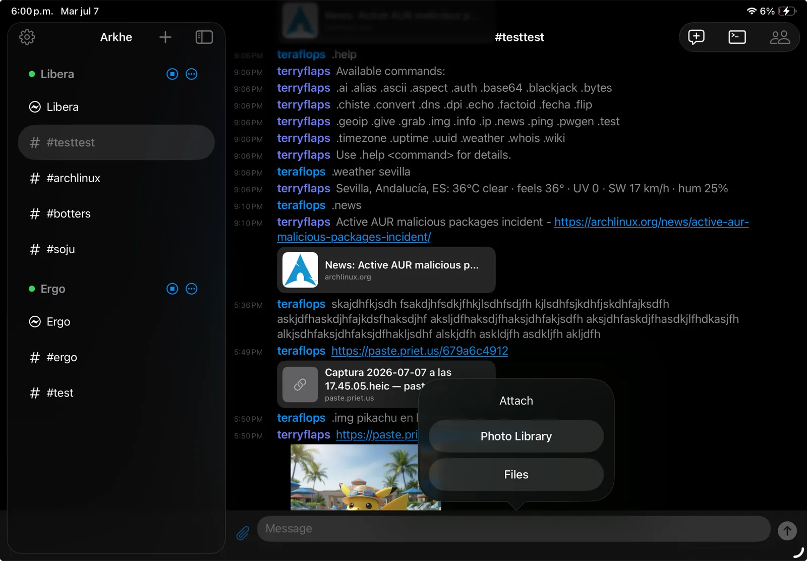 Arkhe on iPad: networks and channels in the sidebar, a channel with a link preview and an inline image