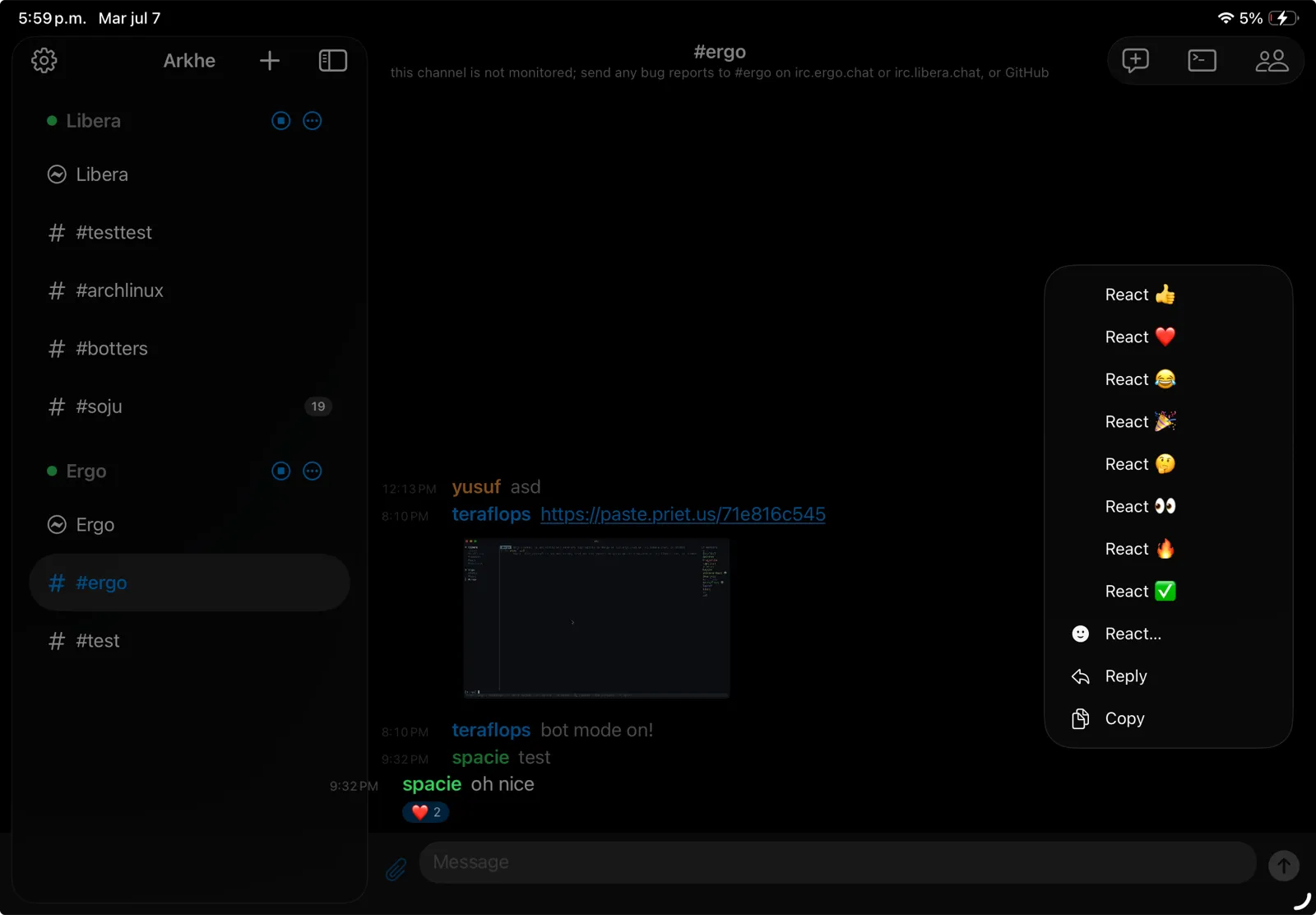 iPad: messages with emoji reaction chips and counts